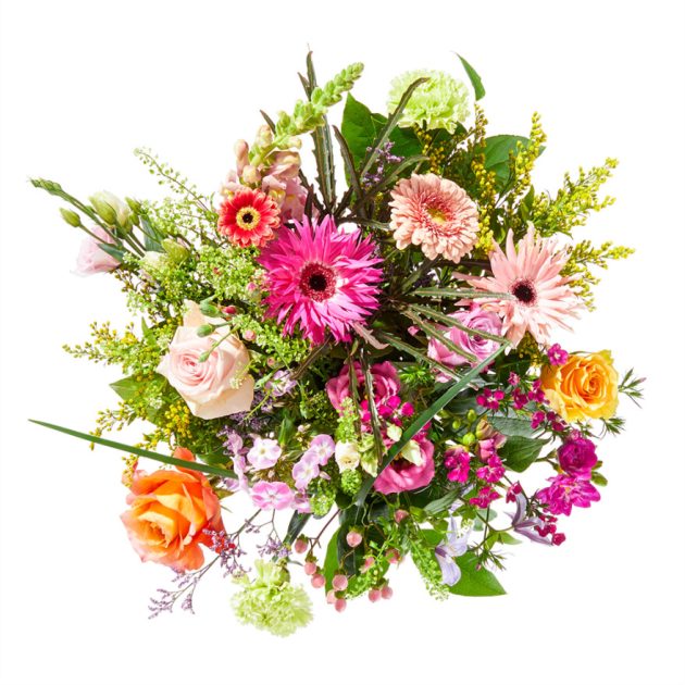 Gefeliciteerd
