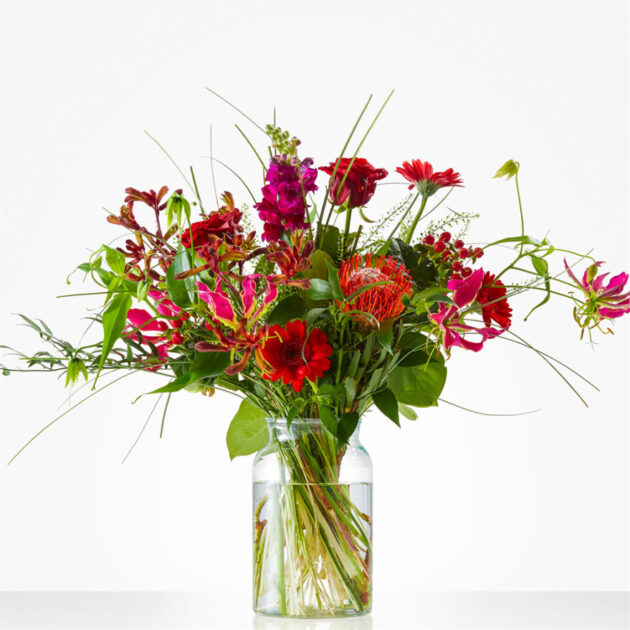 Rijkelijk rood - Afbeelding 2
