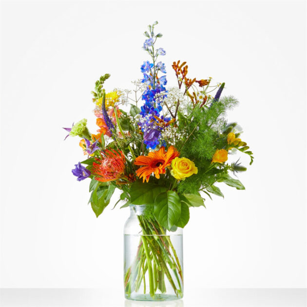 Stoere verassing - Beterschap - Afbeelding 2
